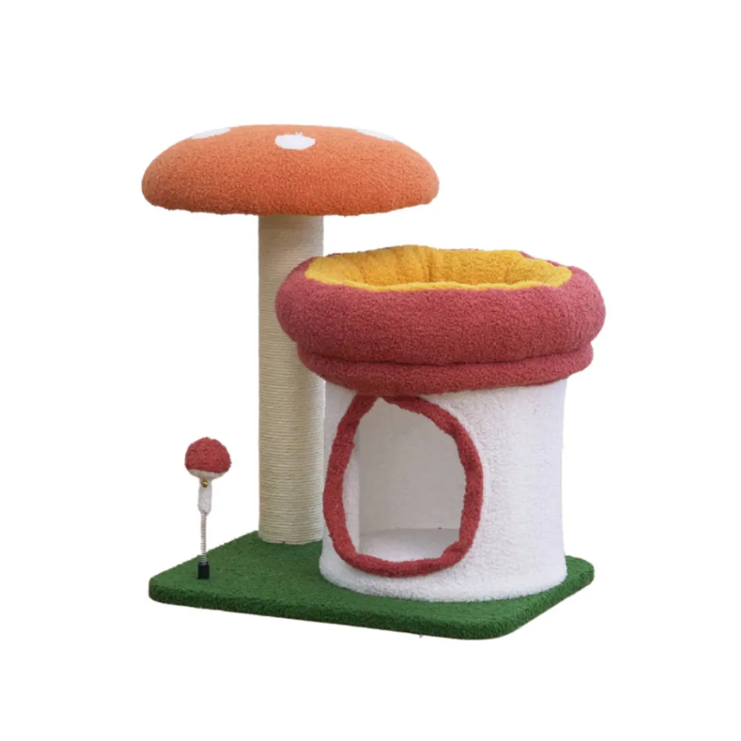 product-main-image