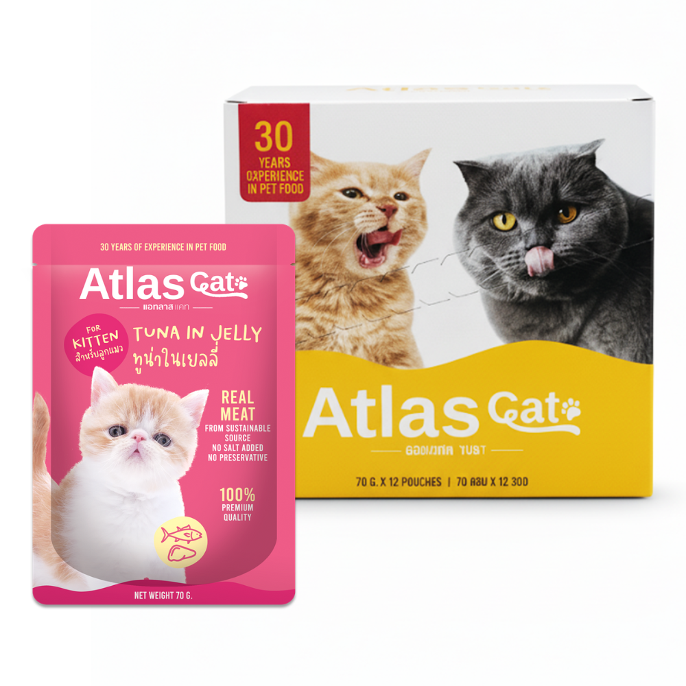 ATLAS CAT KITTEN TUNA IN JELLY (70G.) x 12