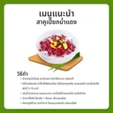 Thumbnail 5 of สาคูเม็ดใหญ่ ตราใบหยก 400 G.