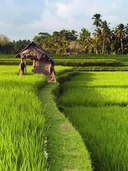 Thumbnail 5 of กระเช้าวันแม่ตลอดเดือนสิงหาคมไซต์ S