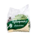 Thumbnail 3 of Lettuce- Green Cos Hydroponic pack 500 g
