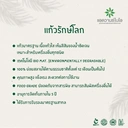 Thumbnail 4 of แก้วรักษ์โลกทรงตรง 22 ออนซ์ สีใส