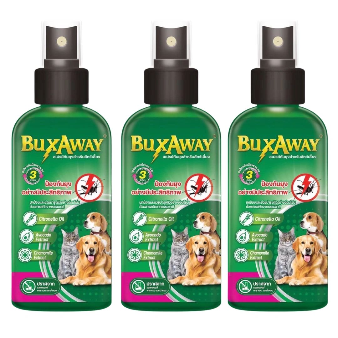 product-main-image