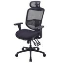 Thumbnail 1 of Ergotrend เก้าอี้เพื่อสุขภาพเออร์โกเทรน รุ่น ERGO-JOY-PLUS