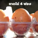 Thumbnail 3 of พิค เบเกอรี่ กล่องใส่ไข่ ถาดใส่ไข่ 4 ฟอง x 400 ชุด (ยกลัง)