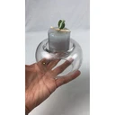 Thumbnail 4 of โหลแก้ว แก้วทรงกลม Modern design โถแก้วกลมขนาดเล็ก แก้วCGO