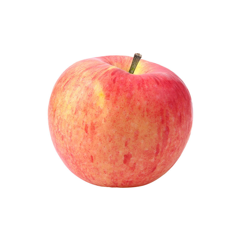 Fuji Apple no.113