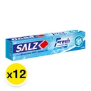 Thumbnail 2 of ซอลส์ ยาสีฟัน สูตรเฟรช แจเปนนิส มิ้นท์ 40 ก. x 12