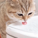 Thumbnail 3 of XIAOMI น้ำพุอัตโนมัติถังให้น้ำสัตว์เลี้ยงแบบไฟฟ้า ขนาด 2 ลิตร สีขาว