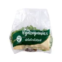 Thumbnail 4 of ผักสลัดฟริลเล่ซ์ ไฮโดรโปนิกส์ แพ็ค 500 ก.