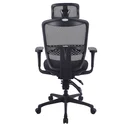 Thumbnail 4 of Ergotrend เก้าอี้เพื่อสุขภาพเออร์โกเทรน รุ่น ERGO-JOY-PLUS