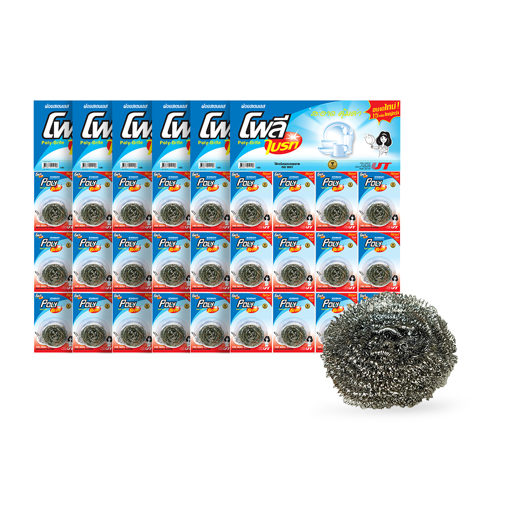 Poly-Brite Stainless Steel Scourer 15g, 12 Pieces per Card (6 Cards)