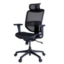 Thumbnail 1 of Ergotrend เก้าอี้เพื่อสุขภาพเออร์โกเทรน รุ่น ERGO-JOY-PRO