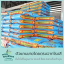 Thumbnail 5 of ส้มโอ ข้าวหอมมะลิแท้กลางปี100% จากสุรินทร์ ของแท้ ตัวแทนขายโดยตรงจากโรงสี หอม อร่อย นุ่ม หุงได้ปริมาณ มาตรฐานส่งออก ขนาด 40 กก.