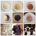 Thumbnail 4 of ข้าวอินทรีย์ ตราข้าวคุณนาย หอมมะลิสีงาม 1 KG. 1 ชิ้น