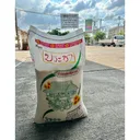 Thumbnail 4 of ประชา หยี่จ๊อข้าวหอมมะลิใหม่ สุรินทร์ คัดพิเศษ เมล็ดสวย อร่อย นุ่ม หอมฉุย ขนาด 45 กก.