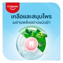 Thumbnail 4 of COLGATE Toothpaste Salt Herbal 75 g x 12