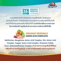 Thumbnail 4 of KANIVA Cat Food Grain Free Cat Food Indoor Formula 340 g