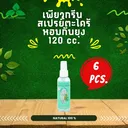 Thumbnail 1 of Pure Green Citronella Oil Mosquito Repellent Spray 120cc x 6 bottles