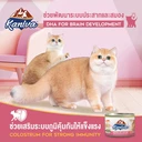 Thumbnail 3 of คานิว่า อาหารแมว ชนิดเปียก สูตรแม่แมวและลูกแมว แบบกระป๋อง ขนาด 170 ก. x 24