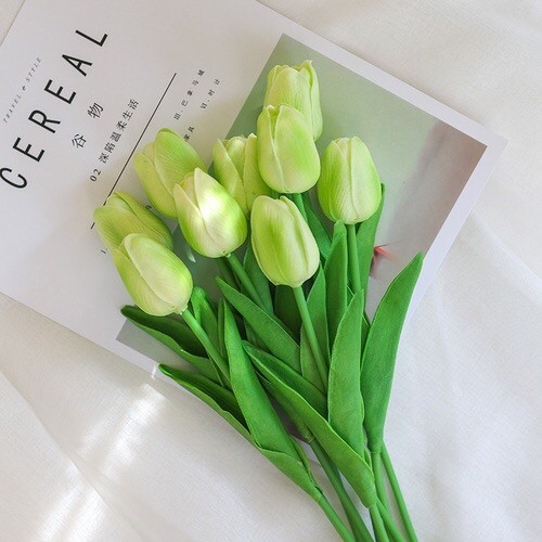 Pureto36ceramic ดอกทิวลิป สี Light green