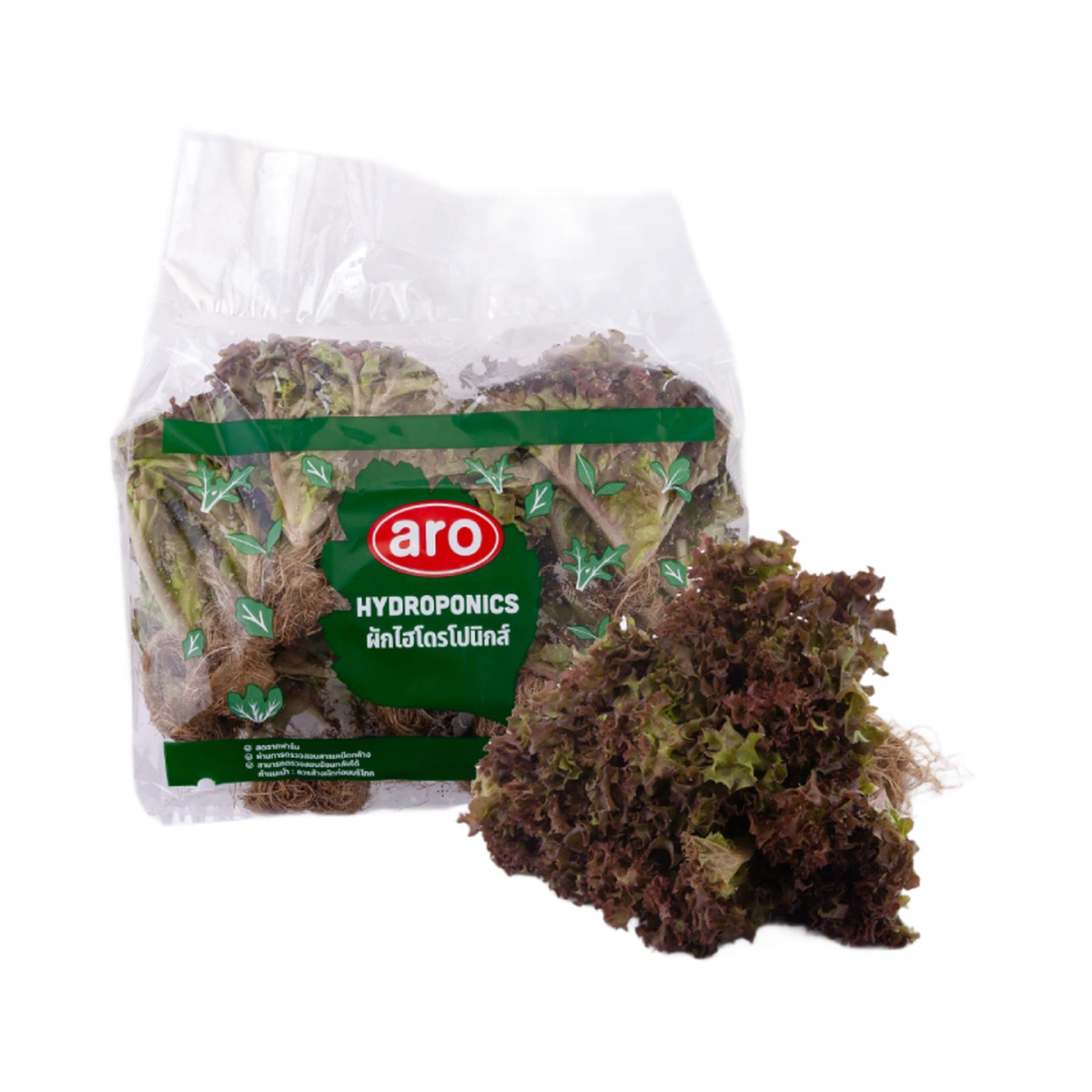 ผักสลัดเรดโครัล ไฮโดรโปนิกส์ แพ็ค 500 ก.
