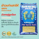 Thumbnail 4 of มังกรคู่ ข้าวขาวเสาไห้แท้100% เกรดส่งออก หุงขึ้นหม้อ ได้ปริมาณ เย็นแล้วนุ่มนวล อุ่นกี่ครั้งก็อร่อยเหมือนเดิม เรียวยาว มันเงา เต็มเมล็ด 45 กก.