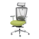 Thumbnail 3 of Ergotrend เก้าอี้เพื่อสุขภาพเออร์โกเทรน รุ่น ERGO-X GREEN