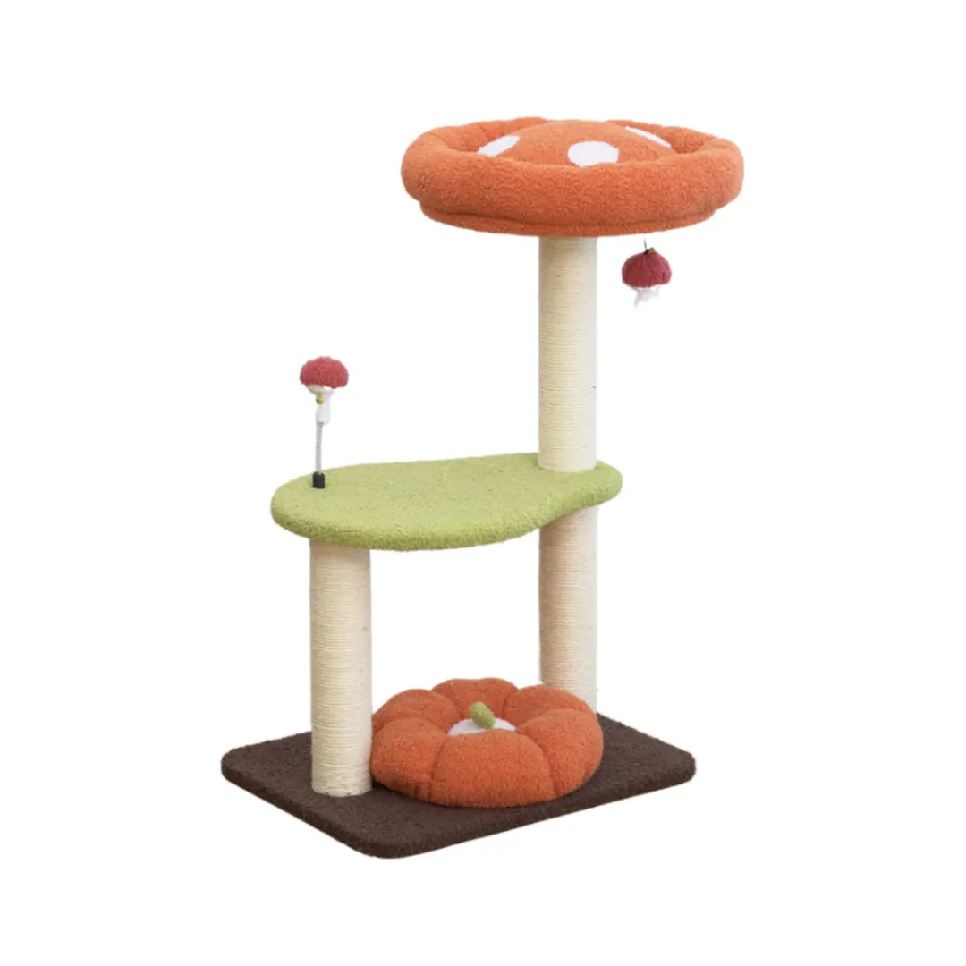 product-main-image