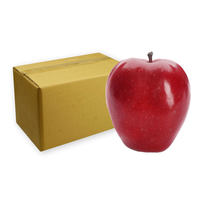 Red Delicious Apple no.100 carton | Makro PRO