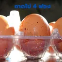 Thumbnail 4 of พิค เบเกอรี่ กล่องใส่ไข่ ถาดใส่ไข่ 4 ฟอง x 400 ชุด (ยกลัง)