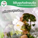 Thumbnail 3 of MostClean น้ำหอมฉีดผ้า Fresh Up 3800 มล. สเปรย์ผ้าหอม ขจัดกลิ่นอับ ช่วยให้ผ้าหอม หรือใช้อเนกประสงค์เพื่อดับกลิ่น แกลลอน