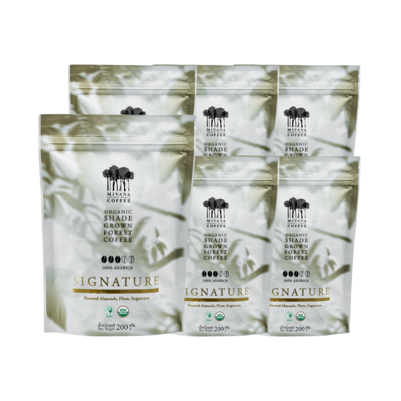 MIVANA ORGANIC ROASTED SIGNATURE BEANS 200G. X6