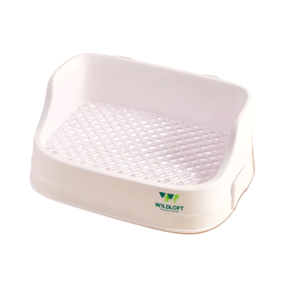 product-main-image