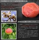 Thumbnail 4 of KOTAKE NOHEN Pickled Umeboshi Ichiban Shiro - Lightly Salted (Made in Japan) 1kg x 2 bottles