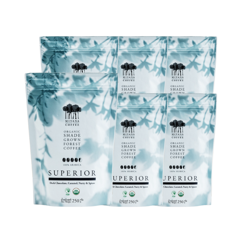 MIVANA ORGANIC ROASTED SUPERIOR BEANS 250G. X6