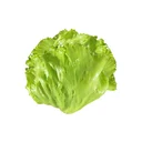 Thumbnail 1 of โครงการหลวง สลัดแก้ว