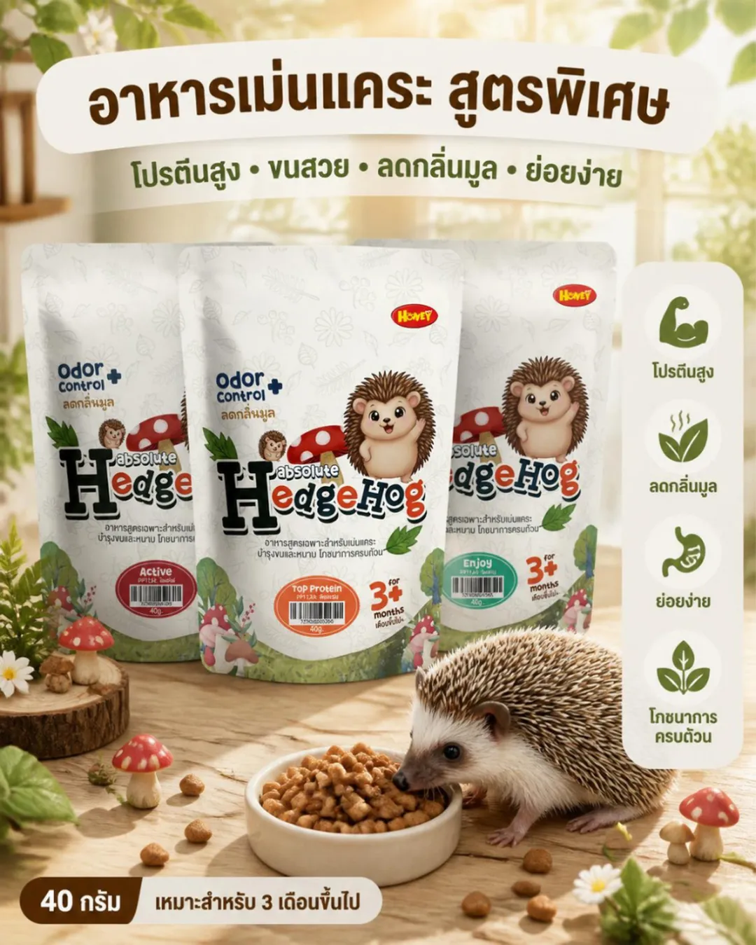 product-main-image