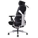 Thumbnail 4 of Ergotrend เก้าอี้เพื่อสุขภาพเออร์โกเทรน รุ่น Ultimate Malmo