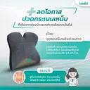 Thumbnail 2 of บีเวล เบาะรองหลัง Ergocushion Plus Back Cushion EC-03