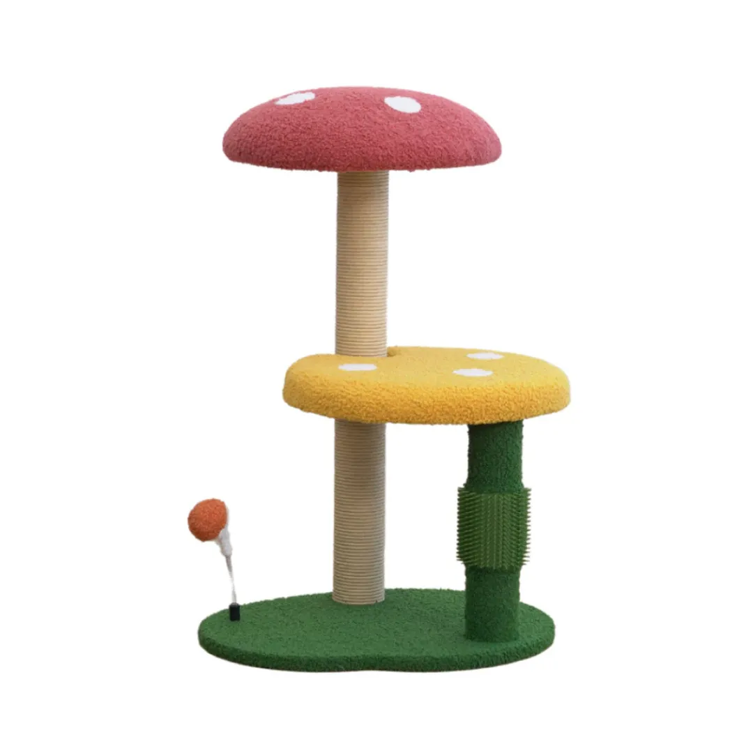 product-main-image