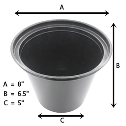 Thumbnail 4 of Jomphan กระถางต้นไม้พลาสติกขนาด 8 นิ้ว เกรดA