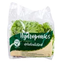 Thumbnail 3 of Green Oak Lettuce Hydroponics pack 500 g