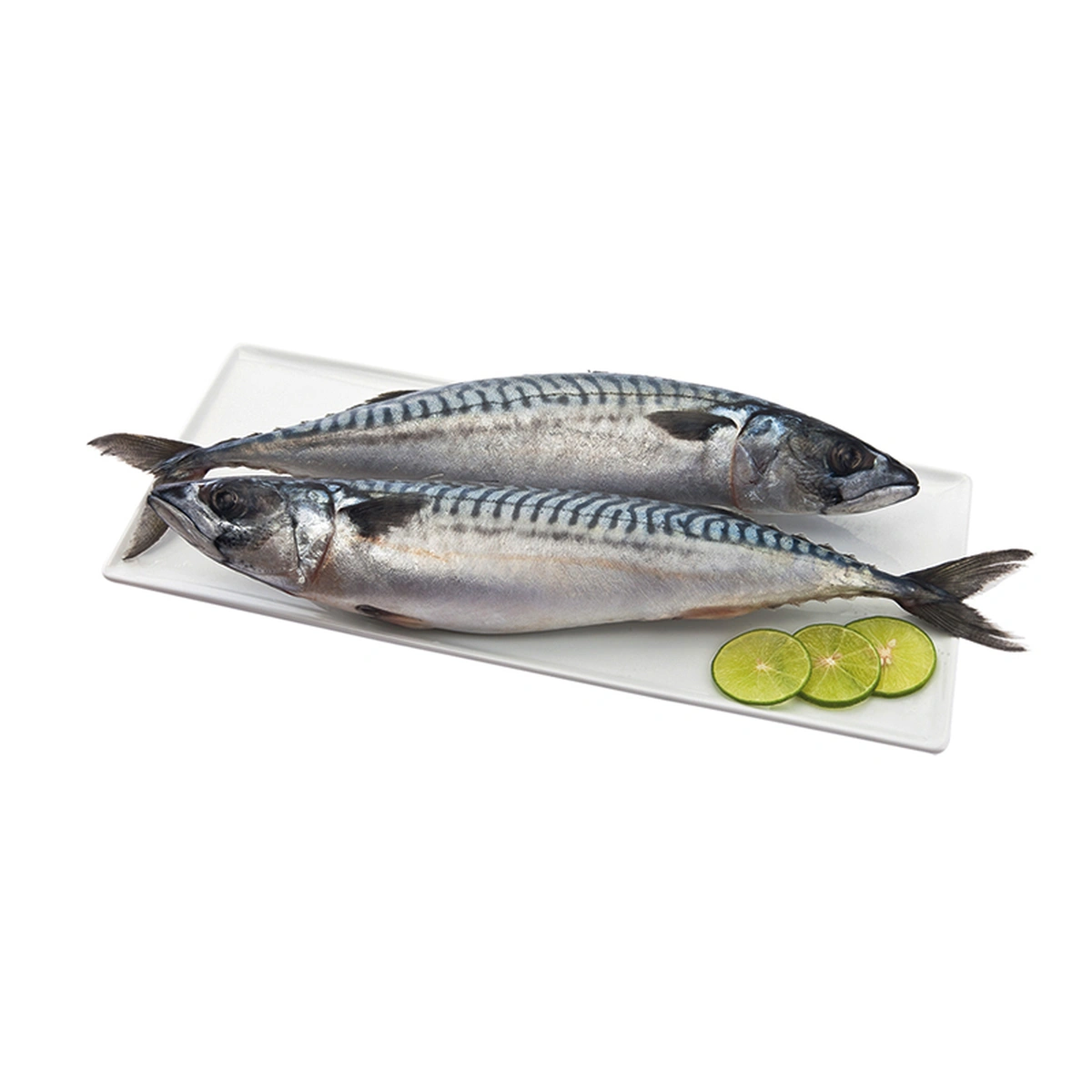 Frozen Norwegian Mackerel Size L 1 kg