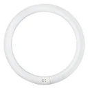 Thumbnail 2 of ฟิลิปส์ หลอดไฟนีออนกลม 32 วัตต์ แสงสีขาว