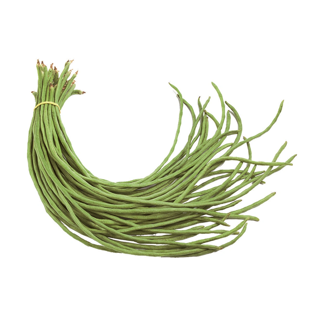 ถั่วฝักยาว แพ็ค 500 ก.