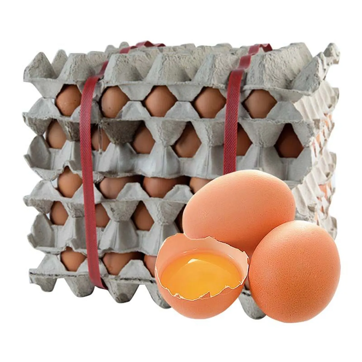 ARO Chicken Egg no.3 No Cover 30 pcs x 5