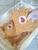 Thumbnail 2 of กระเทียมเจียว 500กรัม หอมๆ สีเหลืองสวยน่าทาน ทอดในน้ำมันปาล์ม กรอบนาน...ไม่เหนียวแน่นอน