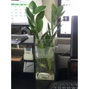 Thumbnail 4 of โหลแก้วสี่เหลี่ยม แจกันแก้วสี่เหลี่ยมทรงสูง แจกันดอกไม้ SQB