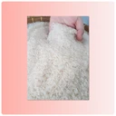 Thumbnail 5 of ข้าวไดโนเสาร์ ข้าวหอมมะลิ  5 KG.  3 ถุง